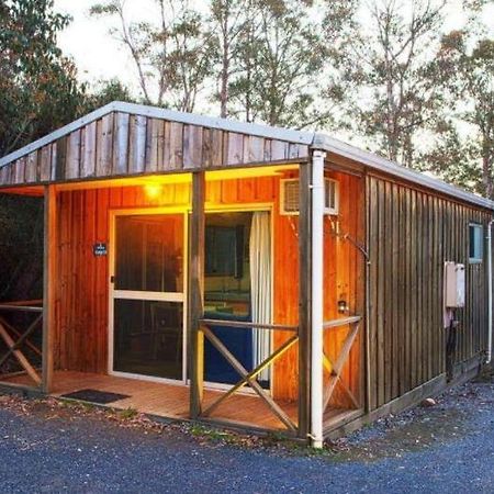 Discovery Parks - Cradle Mountain Accommodation Exteriér fotografie